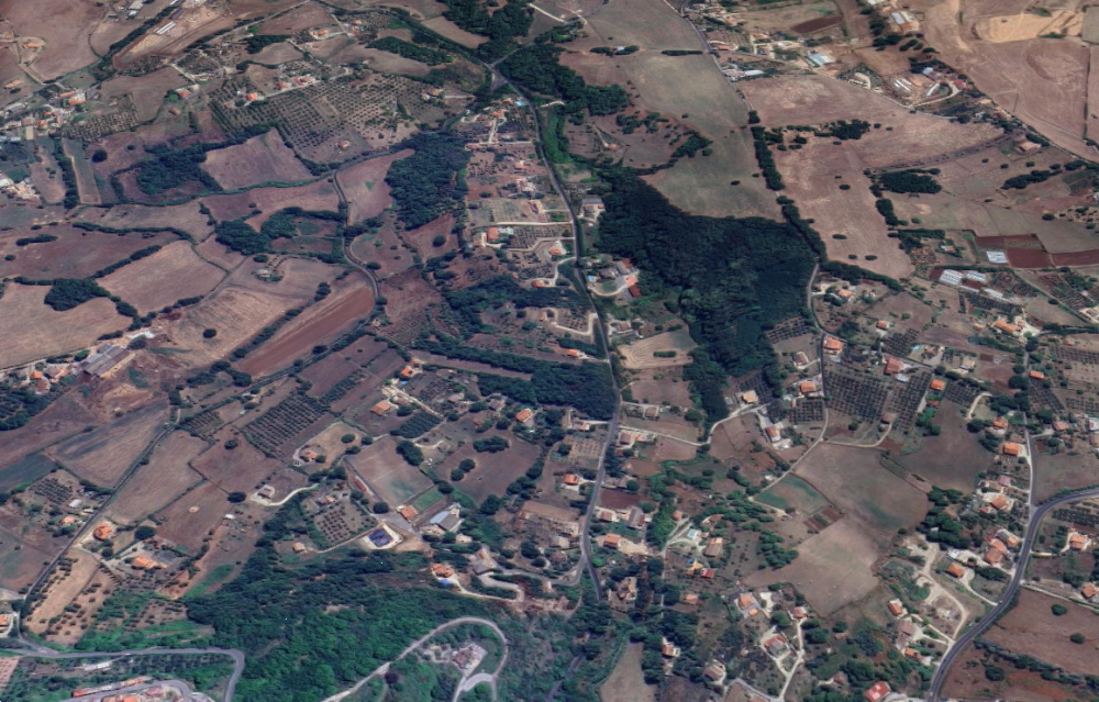 immagine annuncio 12 di 13