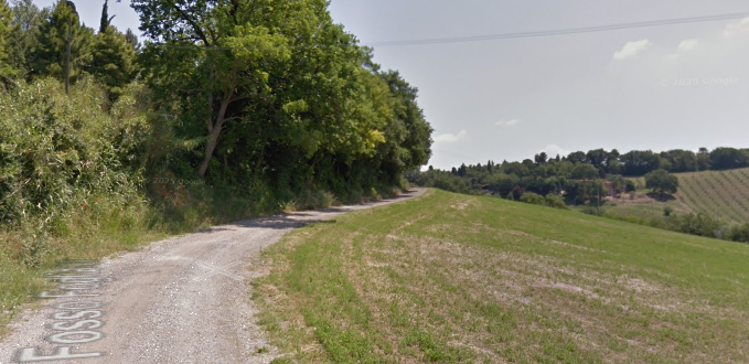 immagine annuncio 11 di 13