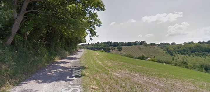 immagine annuncio 12 di 13