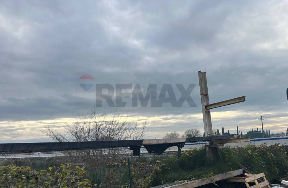 immagine annuncio 3 di 13