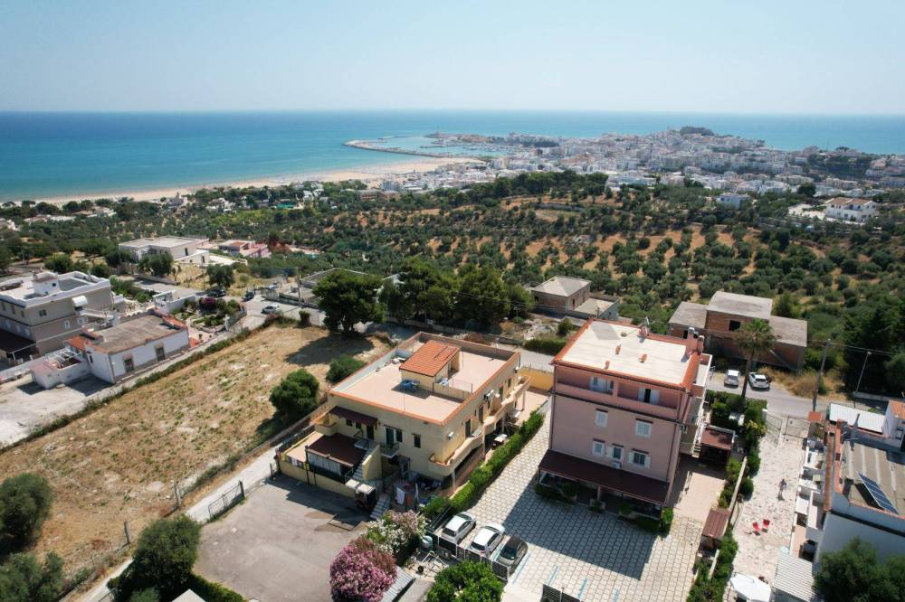 immagine annuncio 2 di 13