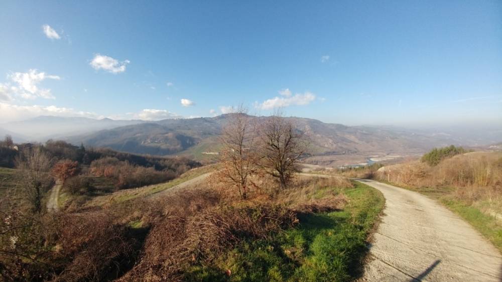 immagine annuncio 5 di 13