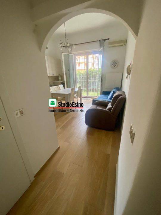 immagine annuncio 5 di 9