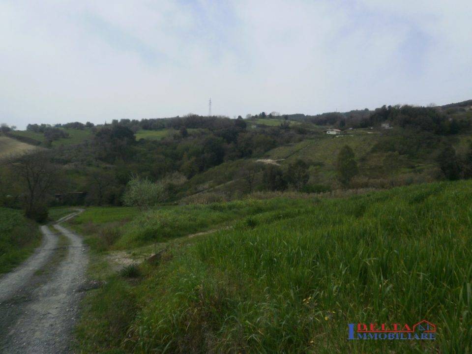 immagine annuncio 5 di 9