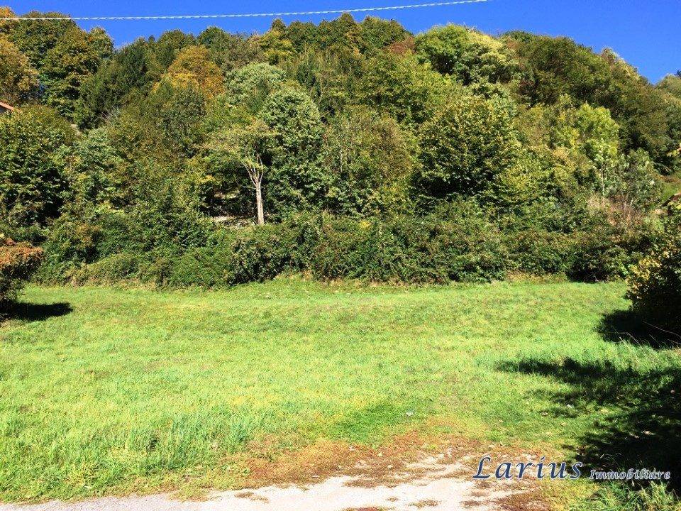 immagine annuncio 4 di 6