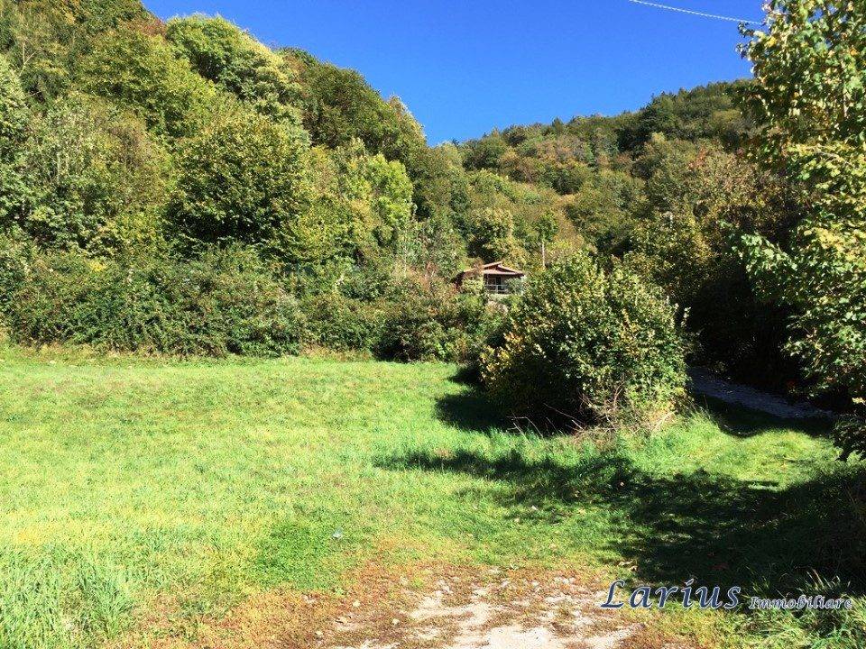 immagine annuncio 5 di 6