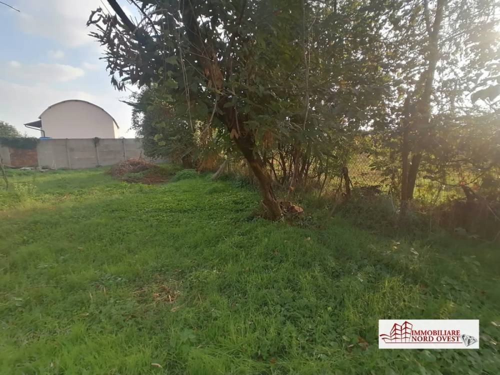 immagine annuncio 3 di 7