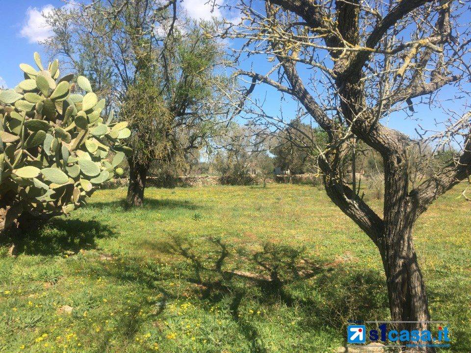 immagine annuncio 7 di 9