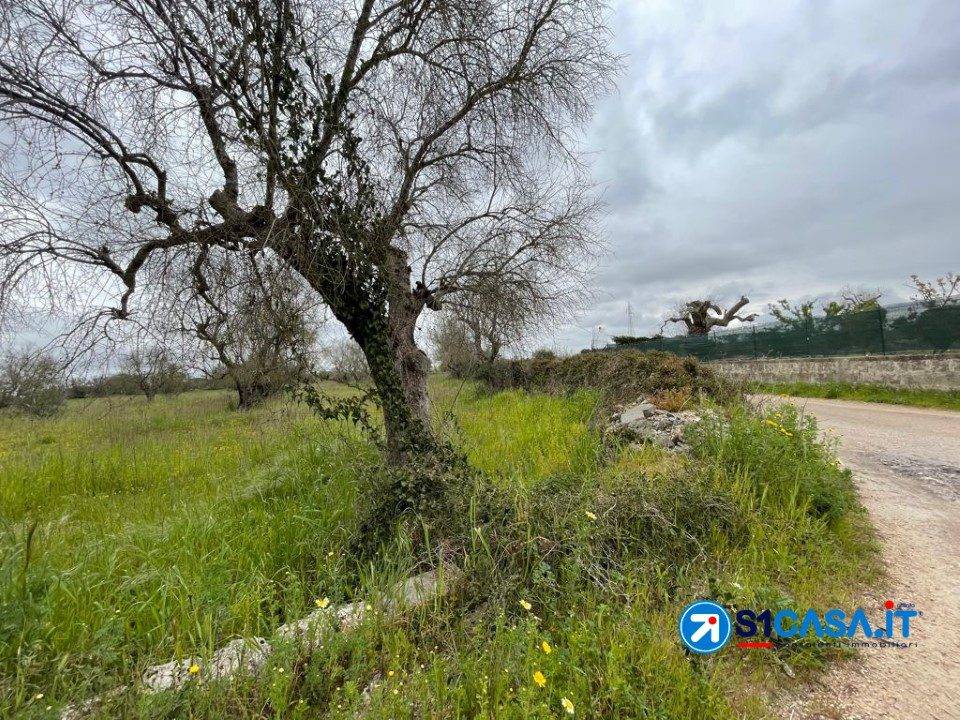 immagine annuncio 5 di 7