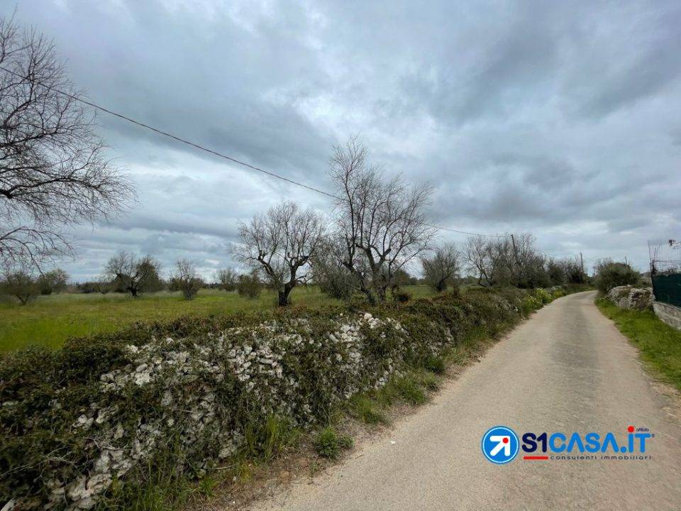 immagine annuncio 3 di 7