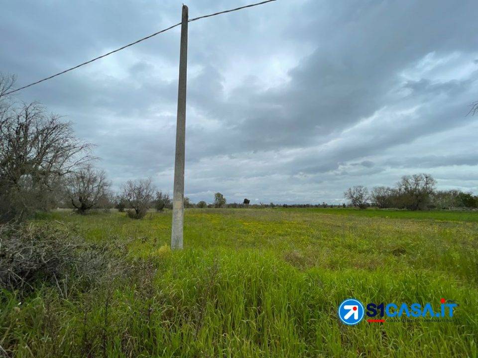 immagine annuncio 6 di 7