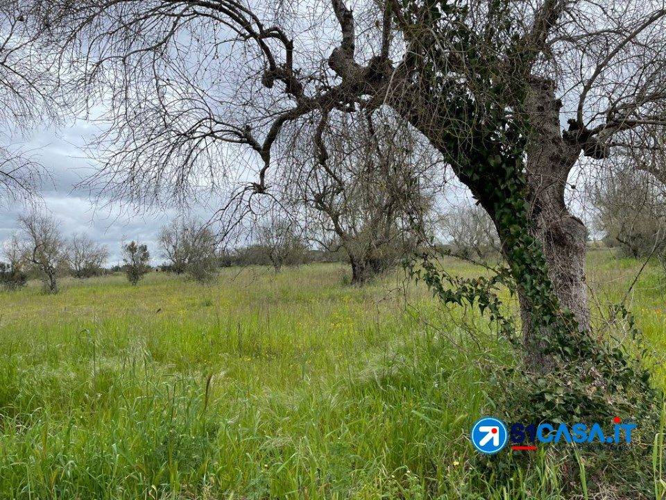 immagine annuncio 4 di 7