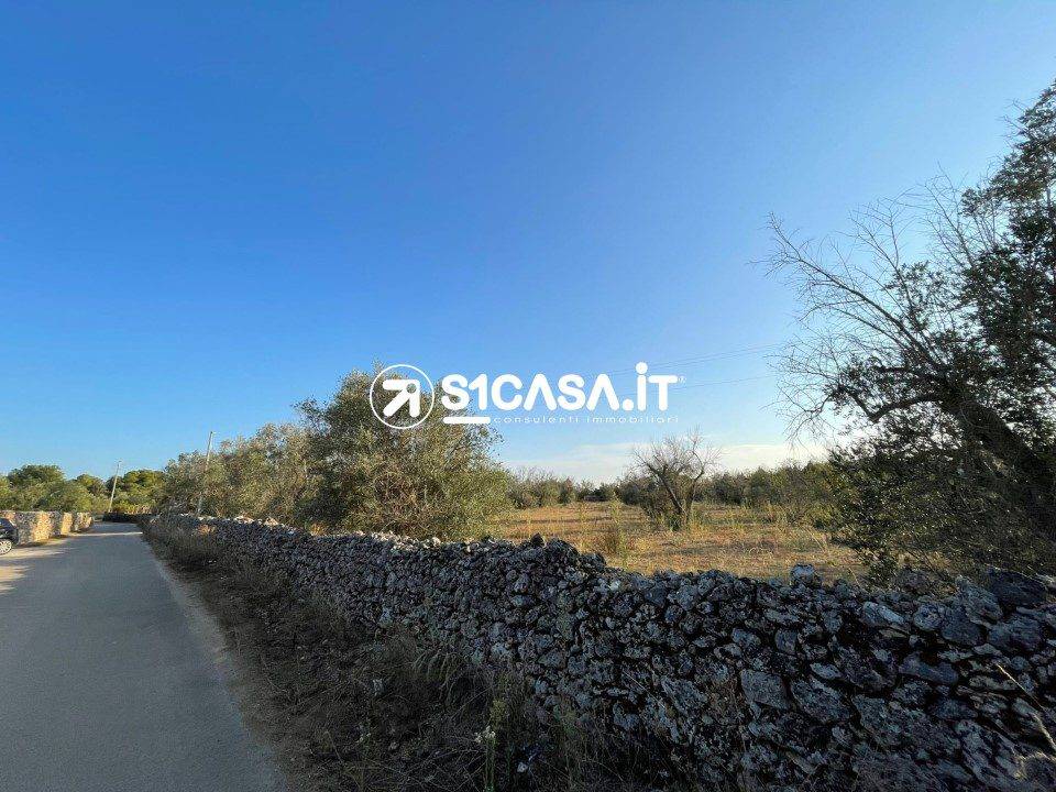 immagine annuncio 1 di 4