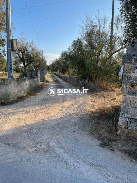 immagine annuncio 3 di 4