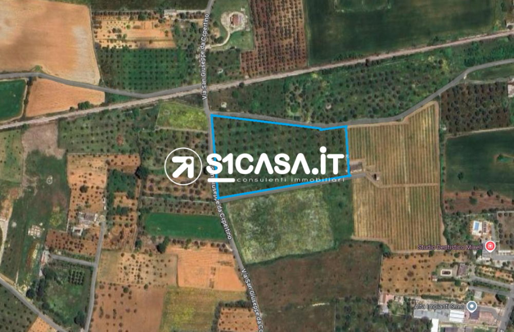 immagine annuncio 3 di 4