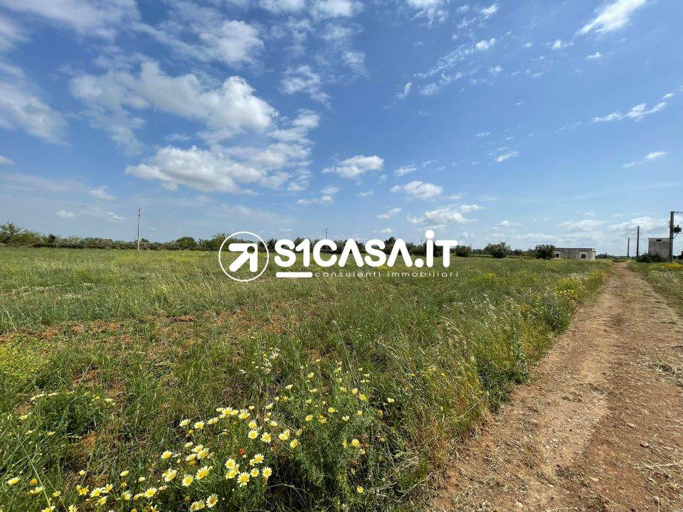 immagine annuncio 1 di 4