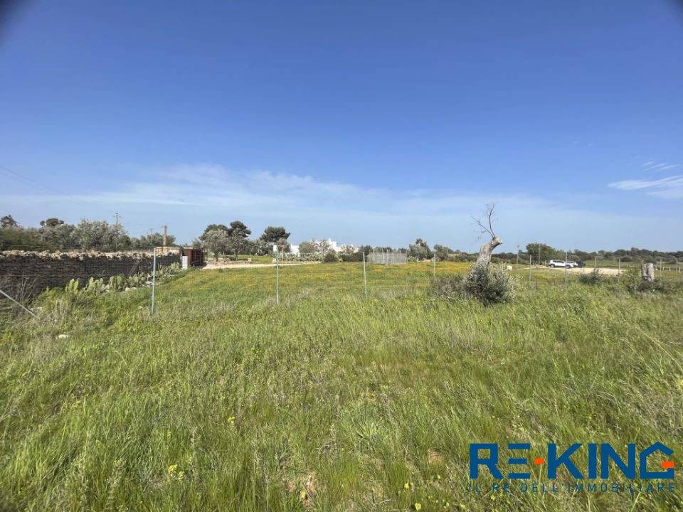 immagine annuncio 6 di 9