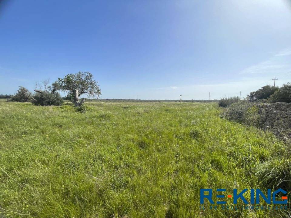 immagine annuncio 3 di 9