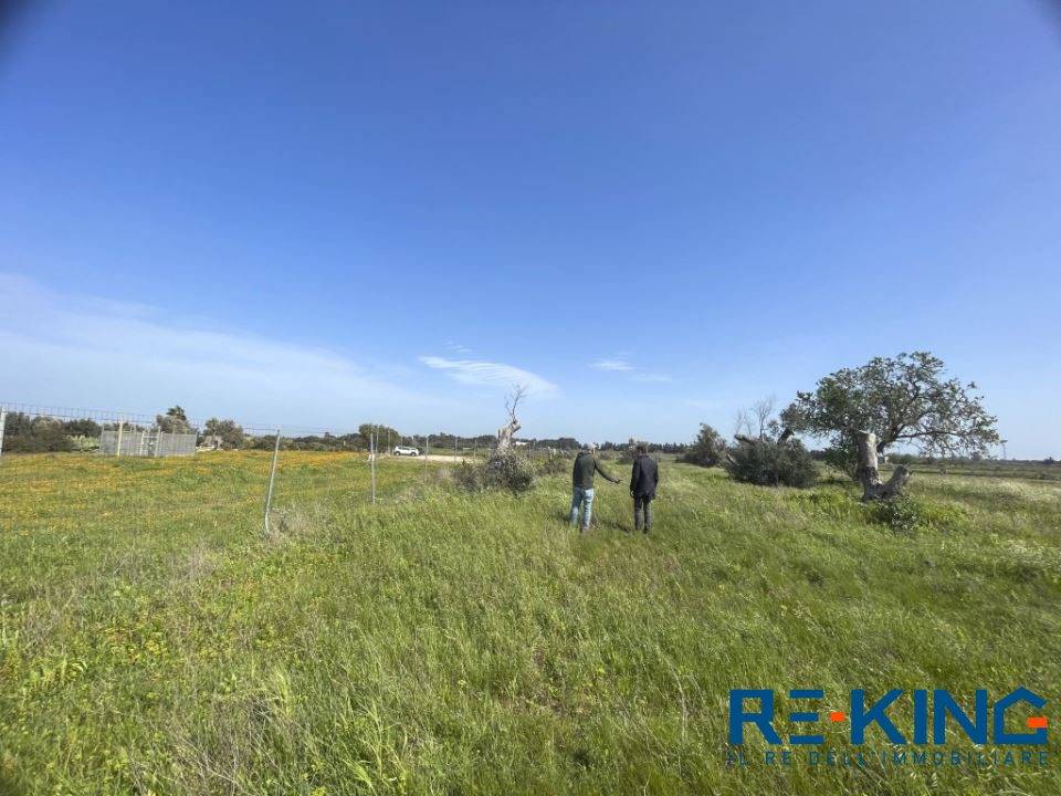 immagine annuncio 2 di 9