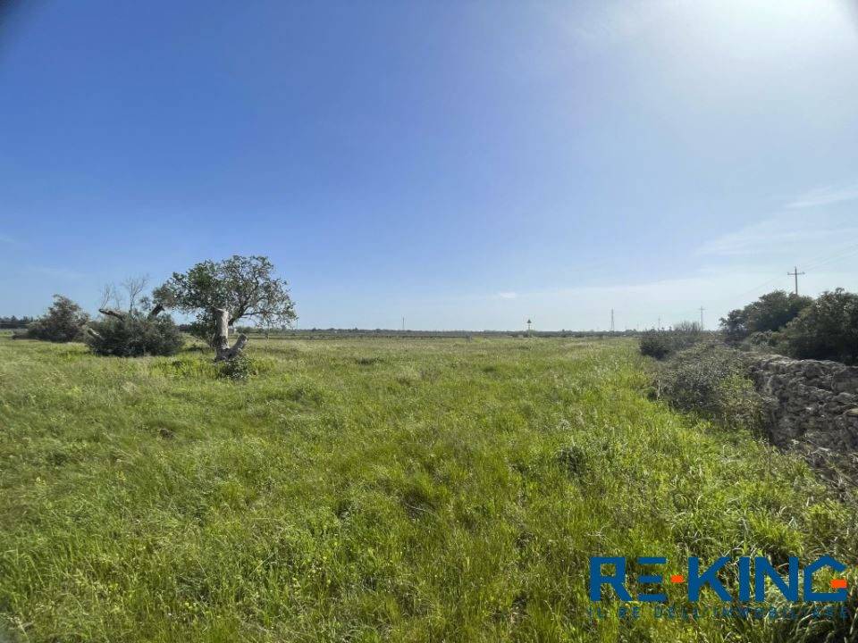 immagine annuncio 4 di 9