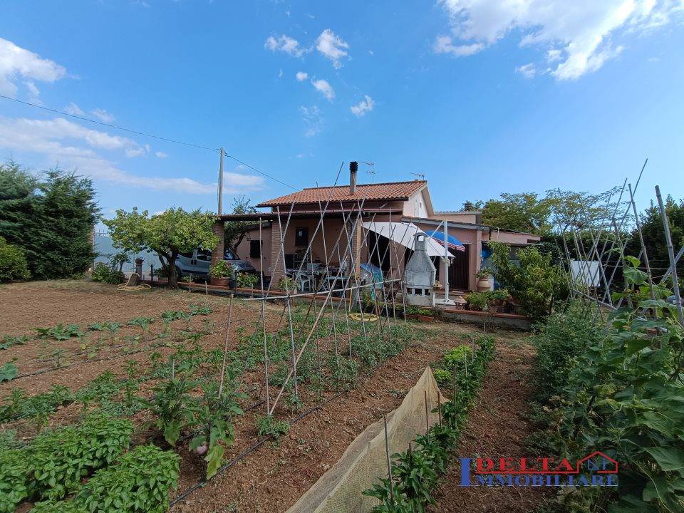 immagine annuncio 4 di 9