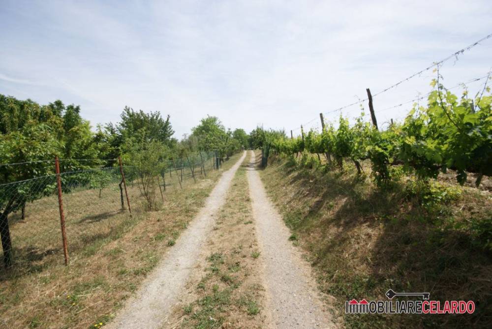 immagine annuncio 4 di 7