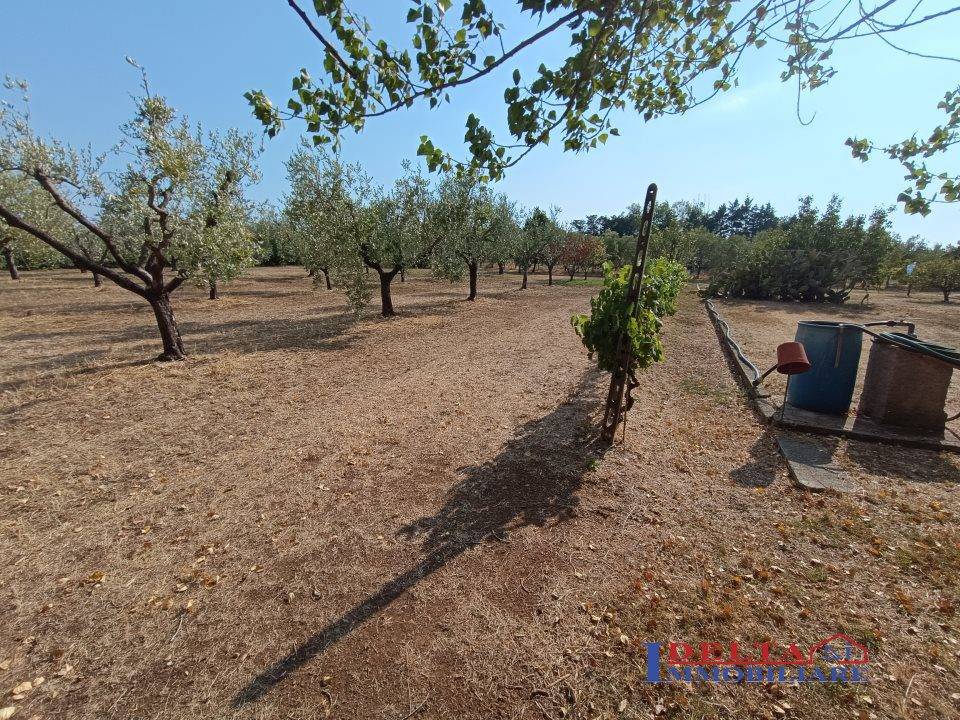 immagine annuncio 5 di 9