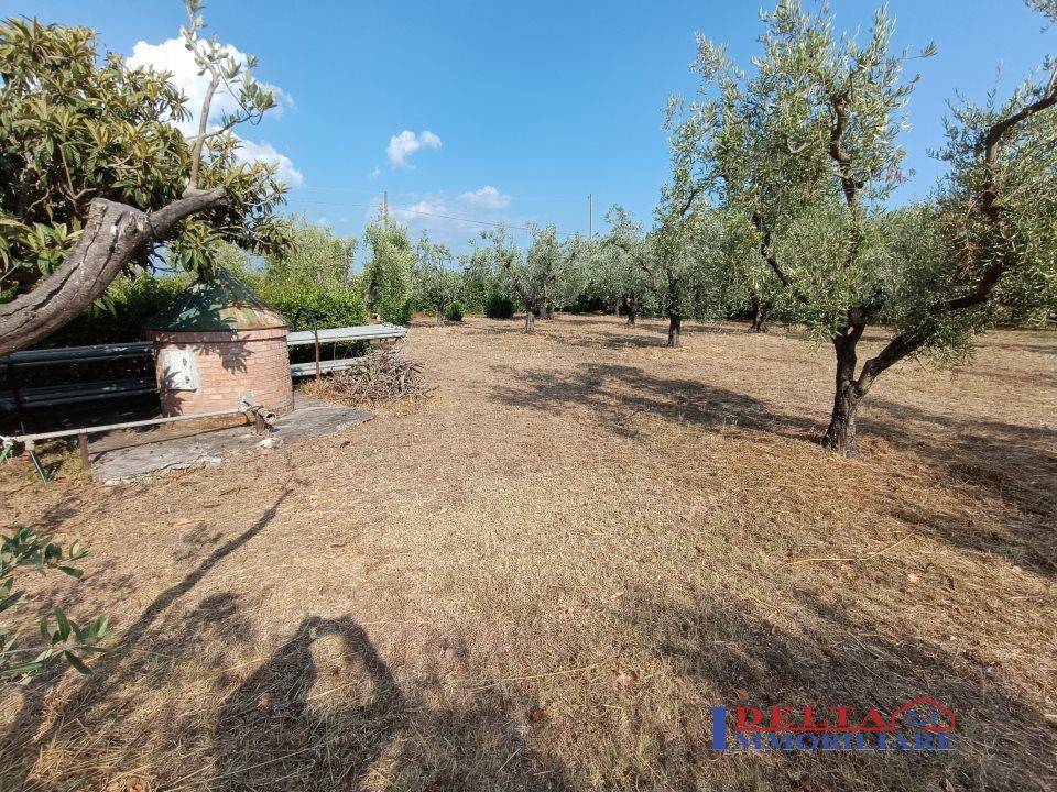 immagine annuncio 4 di 9