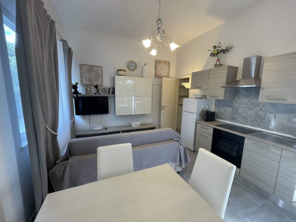 immagine annuncio 8 di 13