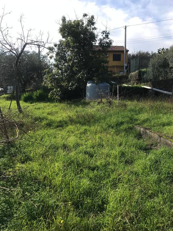 immagine annuncio 3 di 11