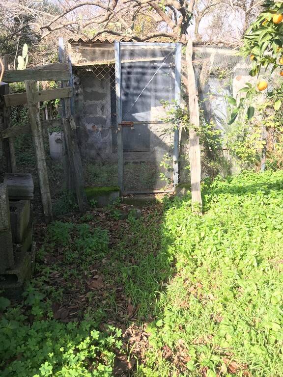 immagine annuncio 6 di 11