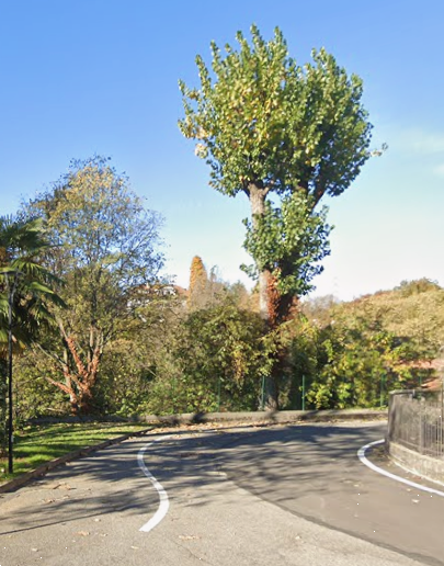 immagine annuncio 4 di 13