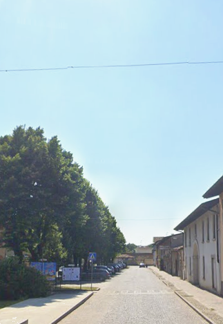 immagine annuncio 2 di 13