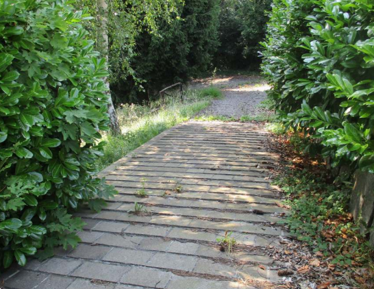 immagine annuncio 2 di 13