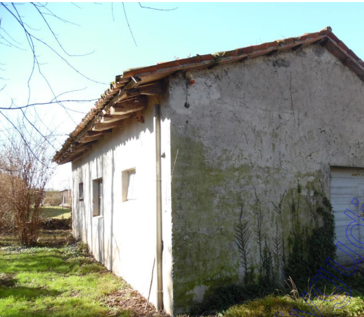 immagine annuncio 6 di 13