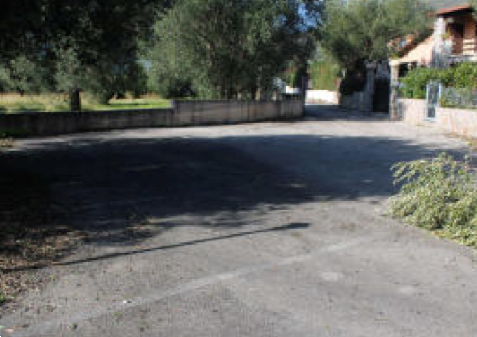 immagine annuncio 6 di 13