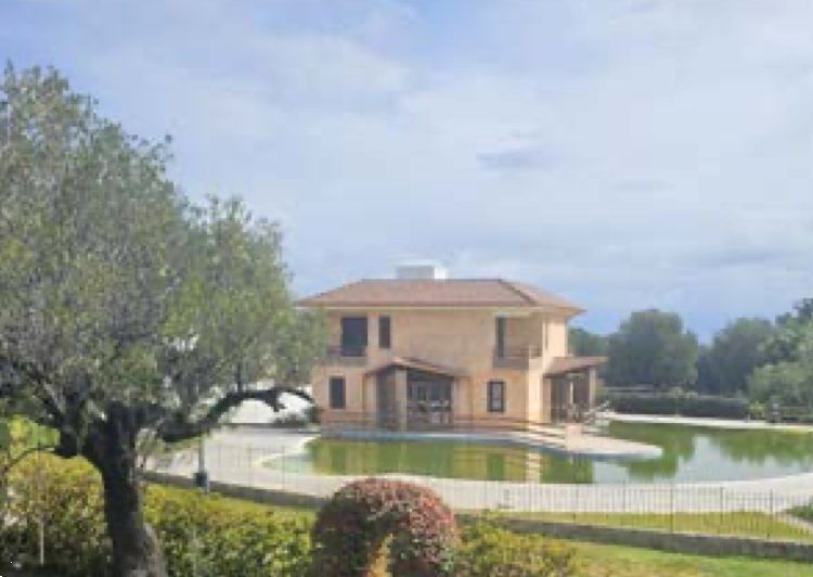 immagine annuncio 7 di 13