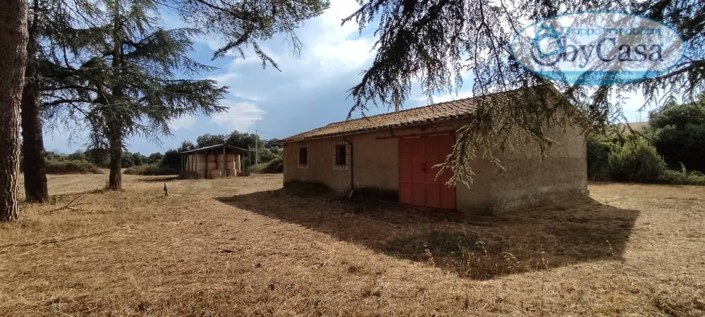 immagine annuncio 11 di 13