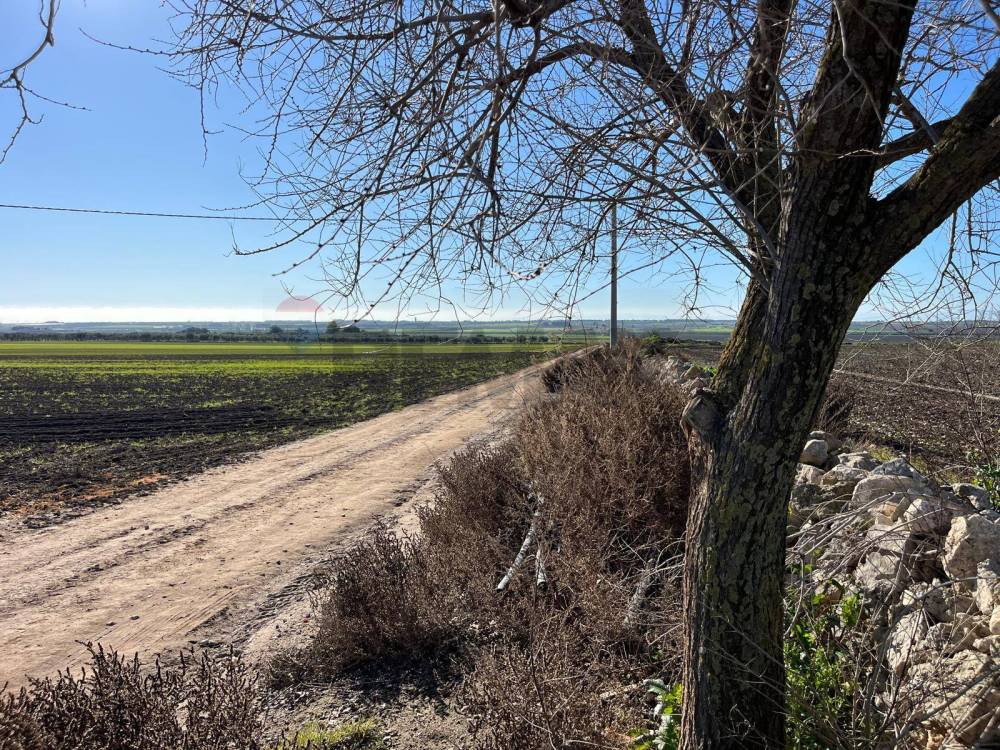 immagine annuncio 8 di 13