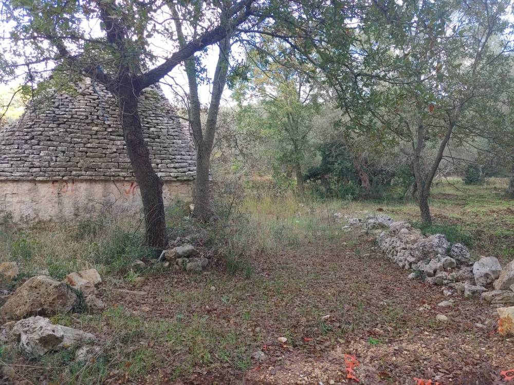 immagine annuncio 5 di 13