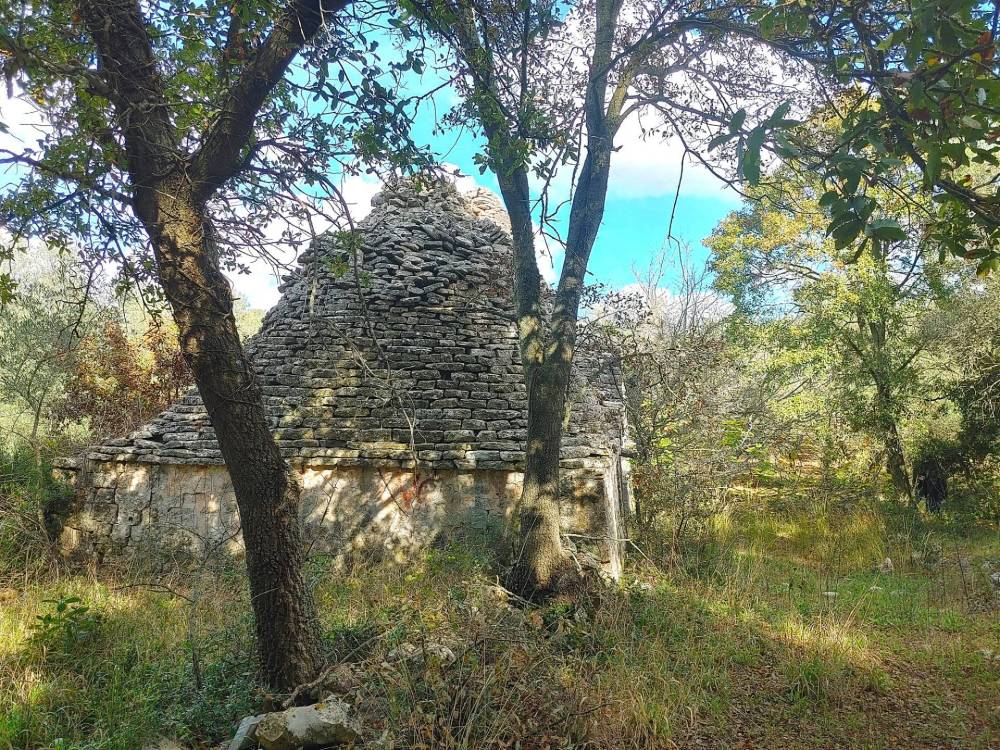 immagine annuncio 6 di 13