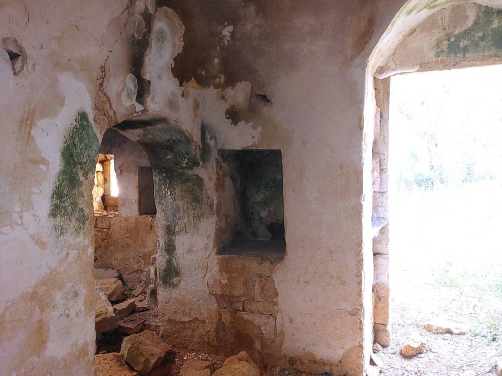 immagine annuncio 7 di 13