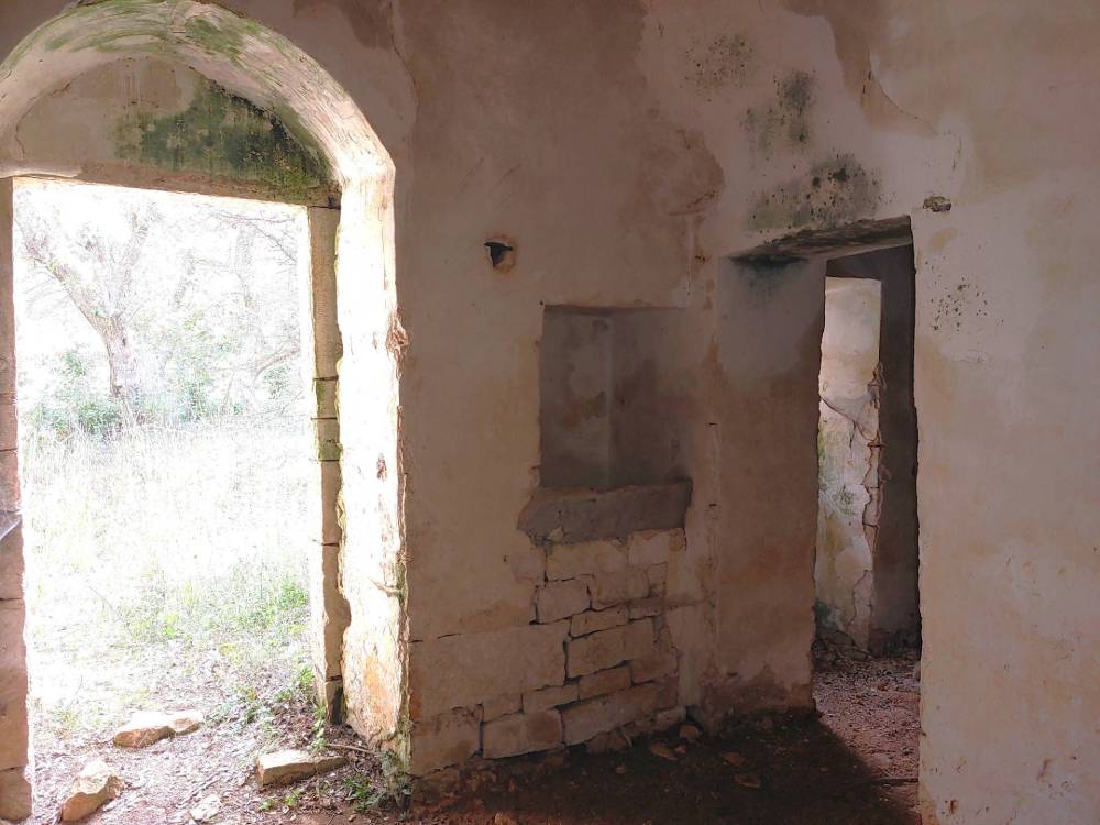 immagine annuncio 10 di 13