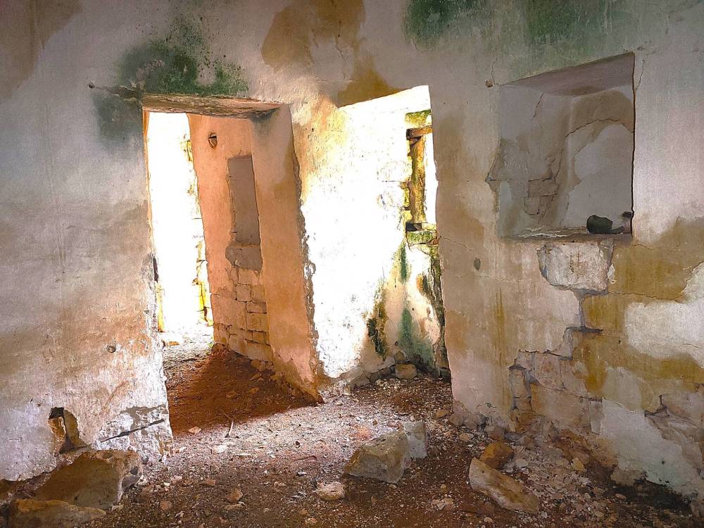 immagine annuncio 11 di 13