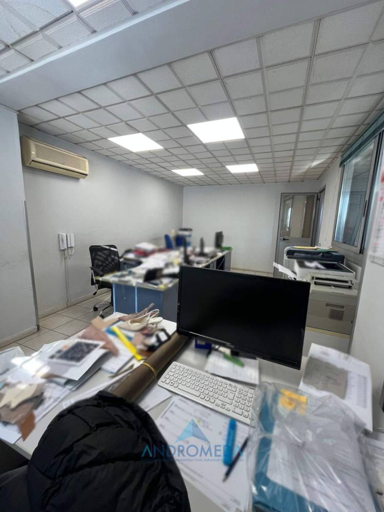 immagine annuncio 9 di 13