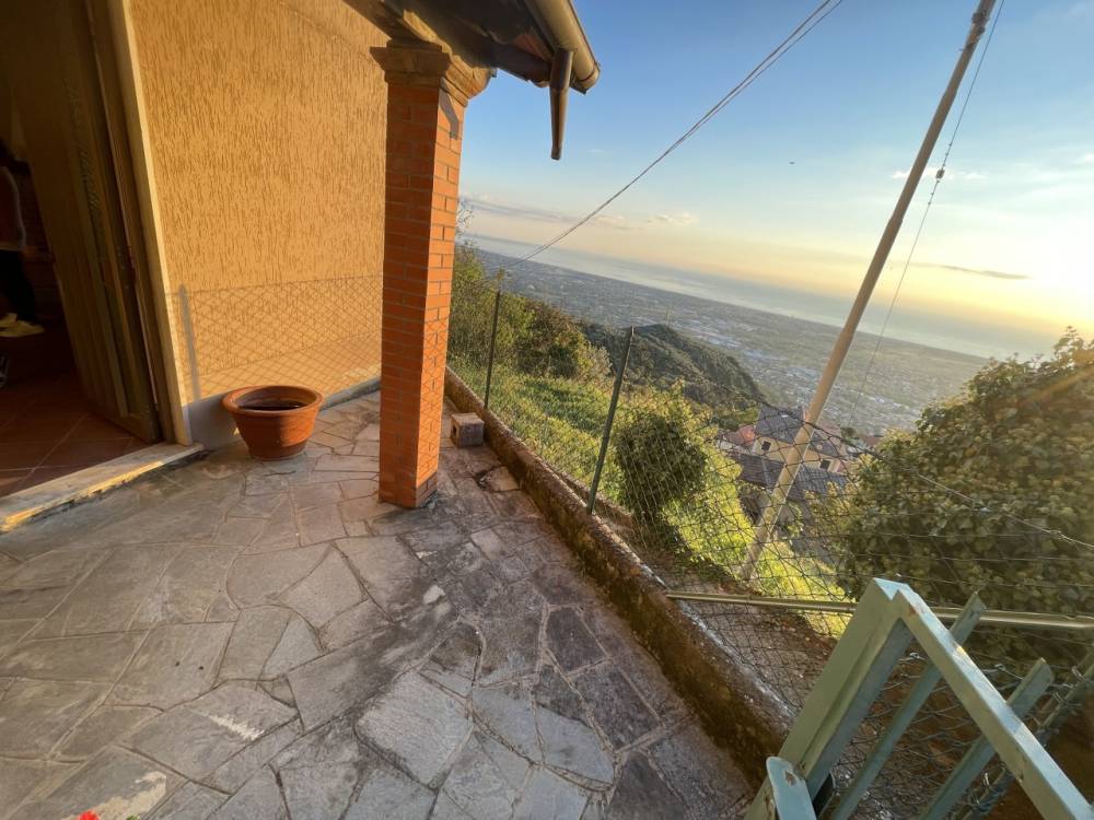 immagine annuncio 3 di 13