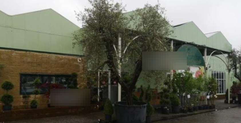 immagine annuncio 6 di 13