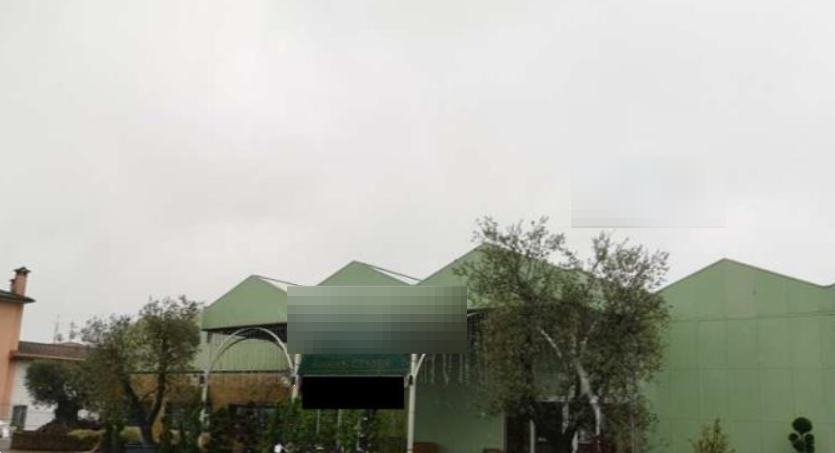 immagine annuncio 5 di 13