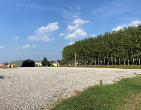 immagine annuncio 6 di 13