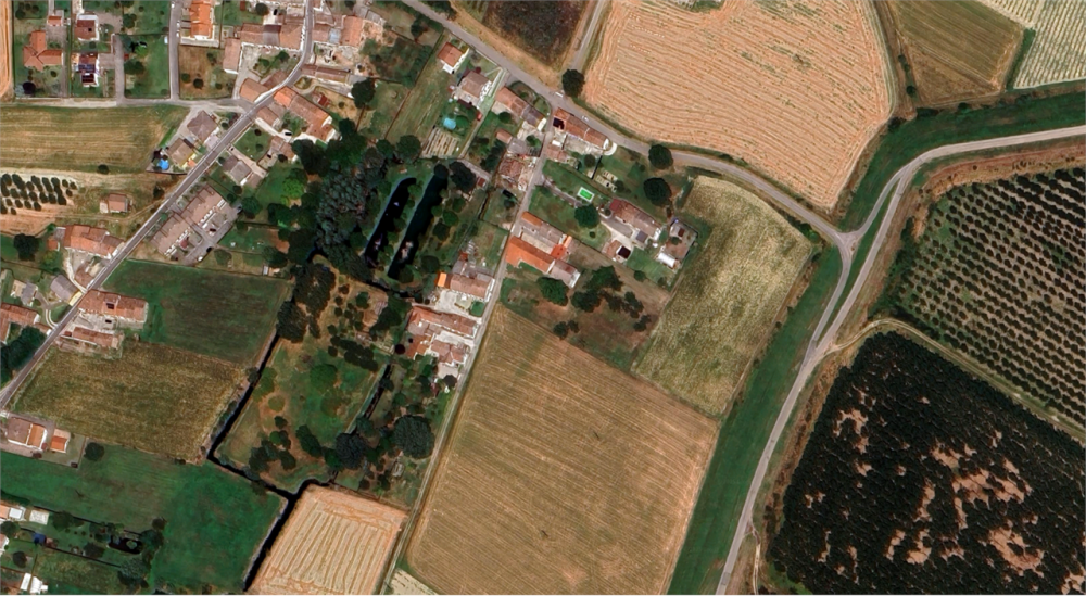 immagine annuncio 10 di 13